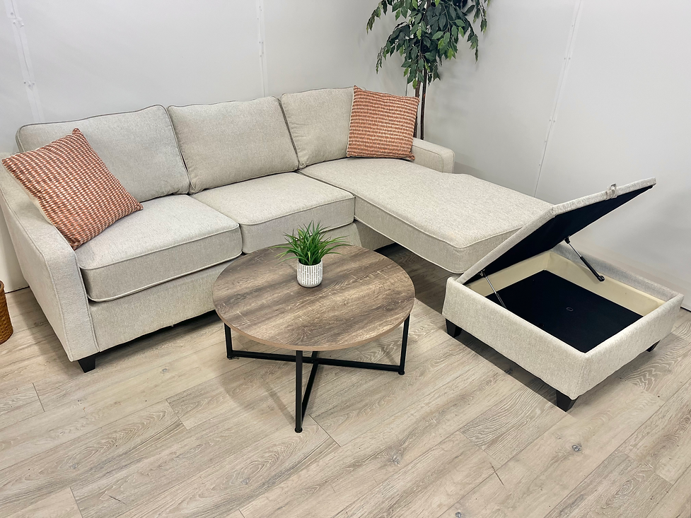 Mcloughlin Reversible Sectional Sofa with Storage Chaise